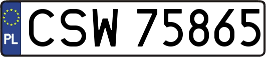 CSW75865