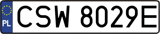 CSW8029E