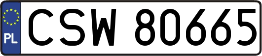 CSW80665