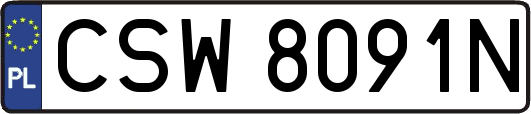 CSW8091N