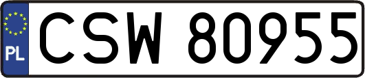 CSW80955