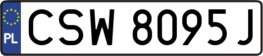 CSW8095J