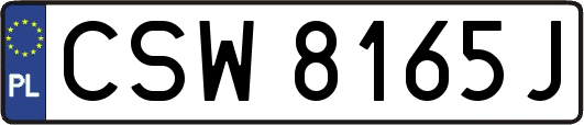 CSW8165J