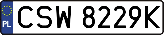 CSW8229K
