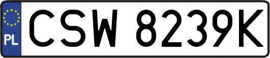 CSW8239K