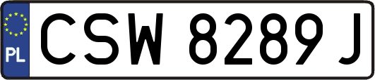 CSW8289J