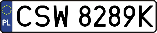 CSW8289K