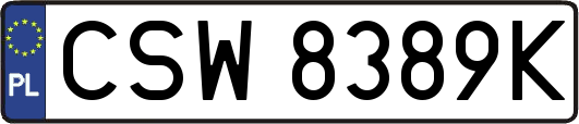CSW8389K