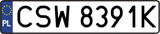 CSW8391K