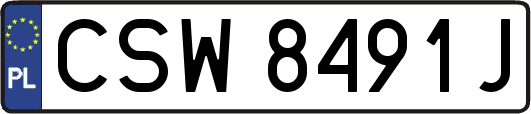 CSW8491J