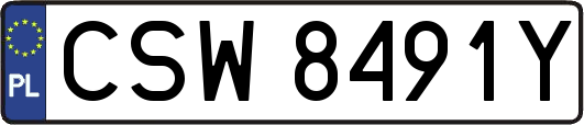 CSW8491Y
