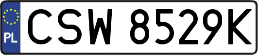 CSW8529K