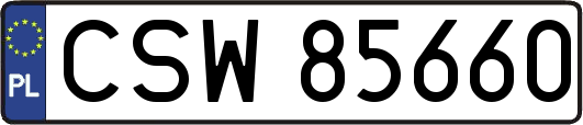 CSW85660