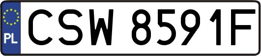 CSW8591F