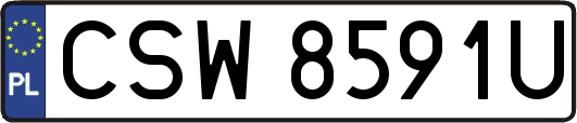 CSW8591U