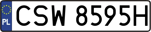 CSW8595H