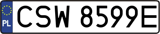CSW8599E