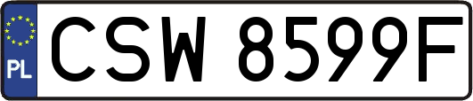 CSW8599F