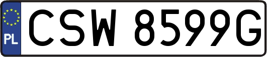 CSW8599G
