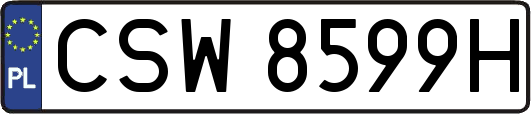 CSW8599H