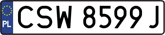 CSW8599J