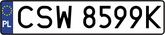 CSW8599K