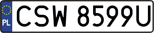 CSW8599U