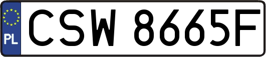 CSW8665F