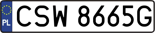 CSW8665G