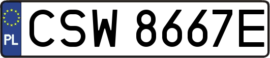 CSW8667E