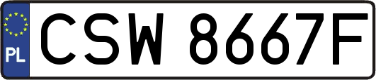 CSW8667F