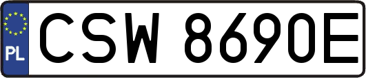 CSW8690E