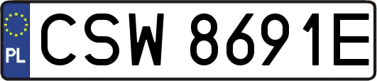 CSW8691E