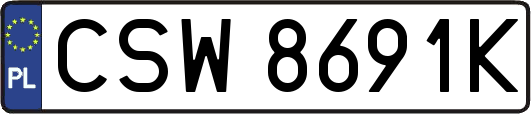 CSW8691K