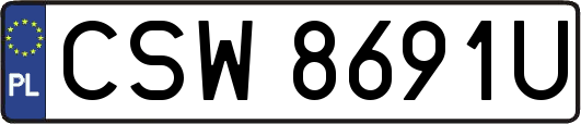 CSW8691U
