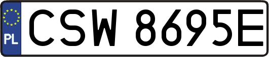 CSW8695E