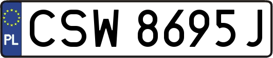 CSW8695J