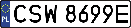 CSW8699E