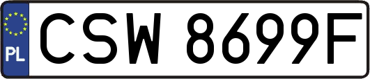 CSW8699F