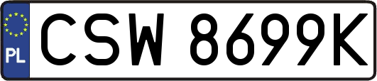 CSW8699K