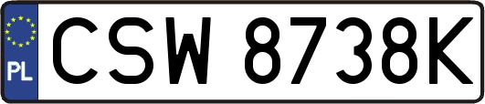CSW8738K