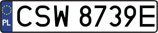 CSW8739E
