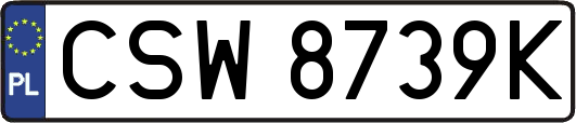 CSW8739K