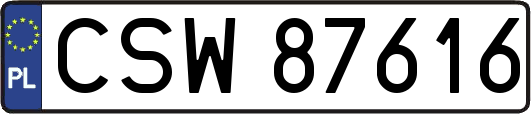 CSW87616
