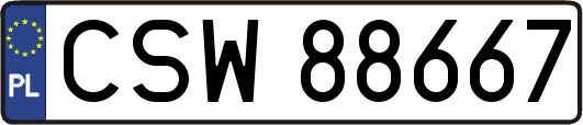 CSW88667