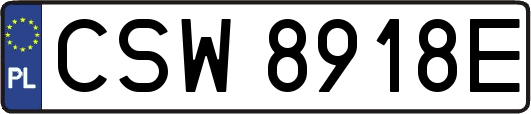 CSW8918E