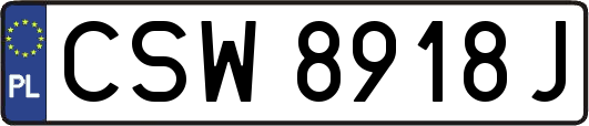 CSW8918J