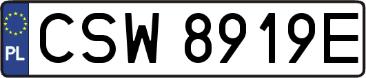 CSW8919E