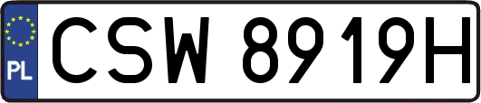 CSW8919H