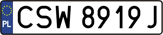 CSW8919J